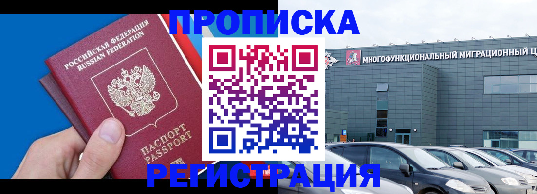 прописка для школы в Камышине